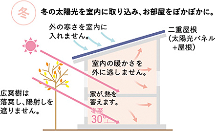 冬の太陽光を室内に取り込み、お部屋をぽかぽかに